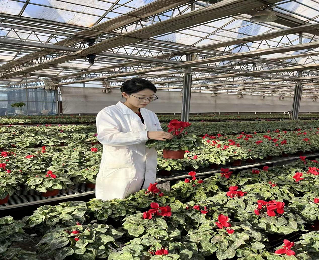 图片 13.png 图片 13.png