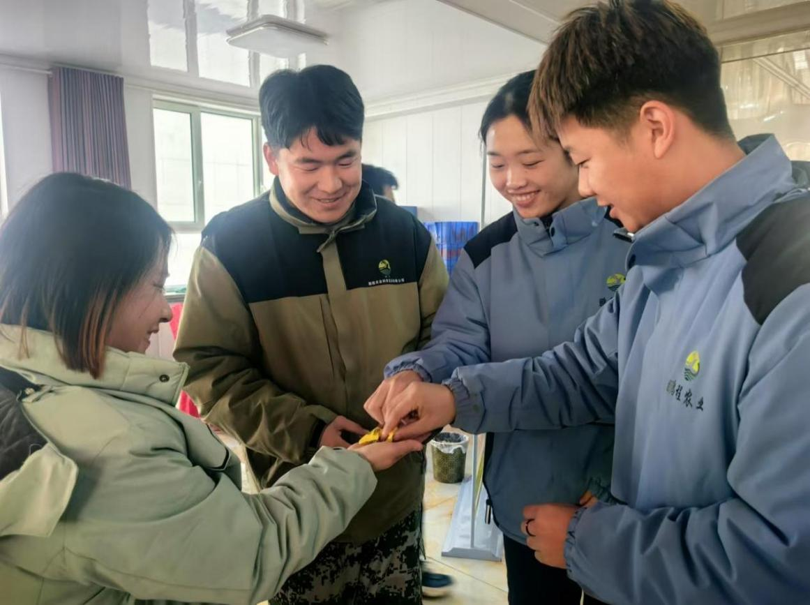 图片 11.png 图片 11.png