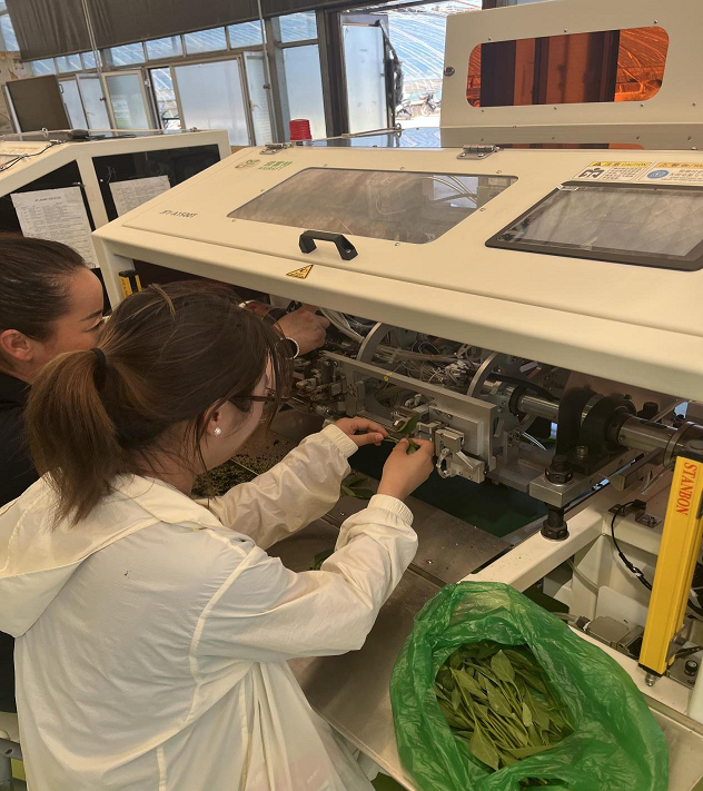 图片 14.png 图片 14.png