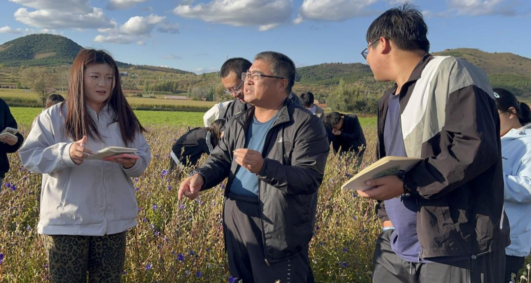 图片 4.png 图片 4.png