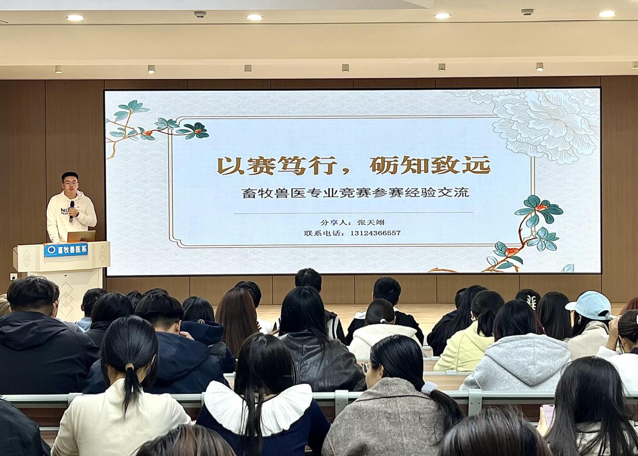 图片 5